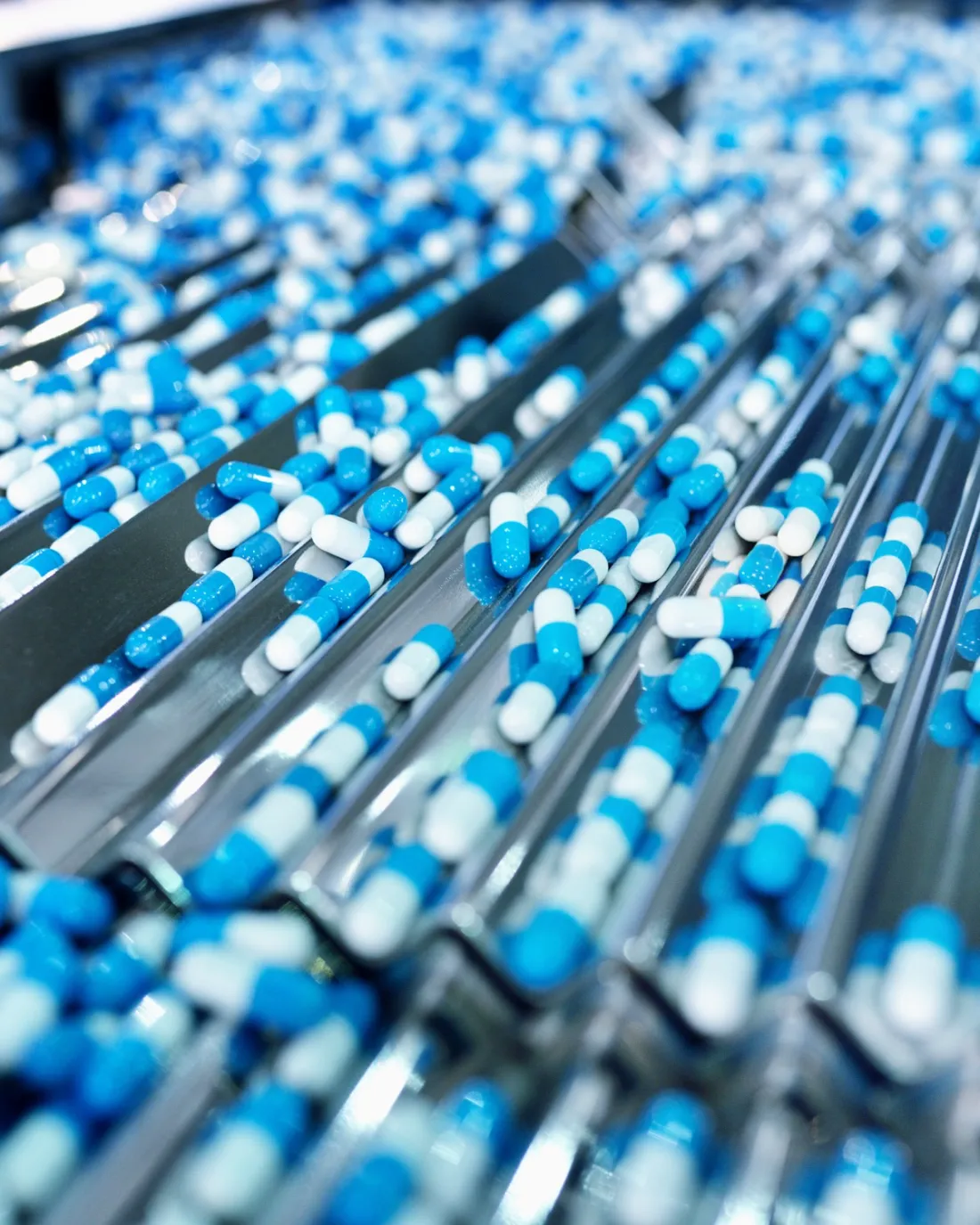 Blue and white capsules moving through a pharmaceutical filling line